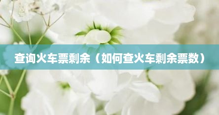 查询火车票剩余（如何查火车剩余票数）