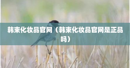 韩束化妆品官网（韩束化妆品官网是正品吗）