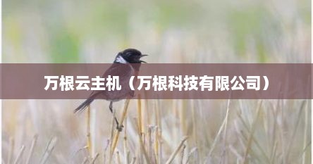 万根云主机（万根科技有限公司）