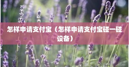 怎样申请支付宝（怎样申请支付宝碰一碰设备）