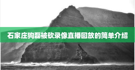 石家庄狗磊被砍录像直播回放的简单介绍