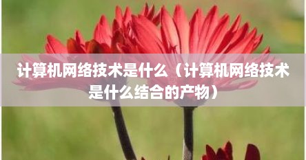 计算机网络技术是什么（计算机网络技术是什么结合的产物）