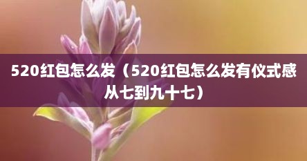 520红包怎么发（520红包怎么发有仪式感从七到九十七）