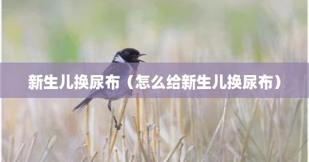 新生儿换尿布（怎么给新生儿换尿布）