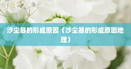 沙尘暴的形成原因（沙尘暴的形成原因地理）