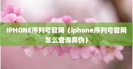 IPHONE序列号官网（iphone序列号官网怎么查询真伪）