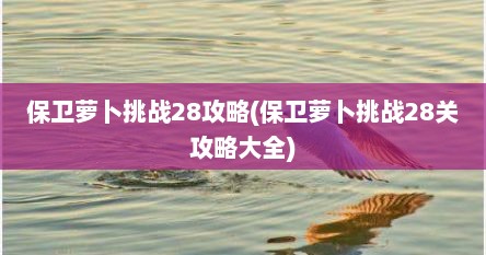 保卫萝卜挑战28攻略(保卫萝卜挑战28关攻略大全)