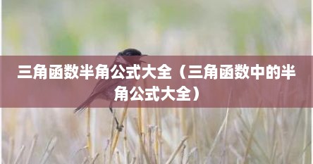 三角函数半角公式大全（三角函数中的半角公式大全）