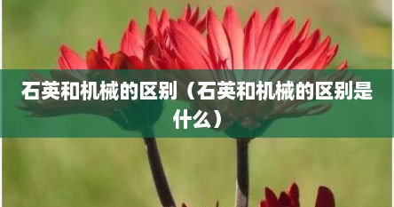 石英和机械的区别（石英和机械的区别是什么）