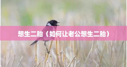 想生二胎（如何让老公想生二胎）