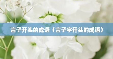 言子开头的成语（言子字开头的成语）