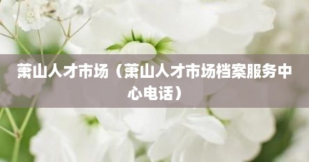 萧山人才市场（萧山人才市场档案服务中心电话）