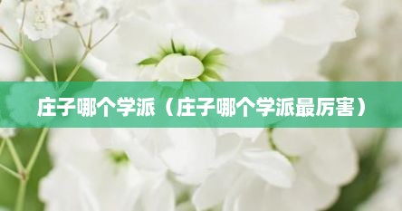 庄子哪个学派（庄子哪个学派最厉害）