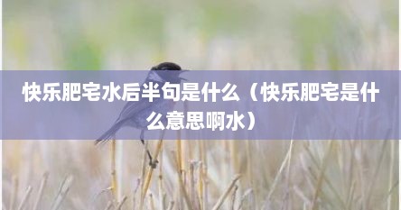 快乐肥宅水后半句是什么（快乐肥宅是什么意思啊水）