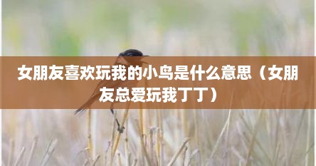 女朋友喜欢玩我的小鸟是什么意思（女朋友总爱玩我丁丁）