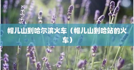 帽儿山到哈尔滨火车（帽儿山到哈站的火车）