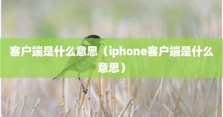 客户端是什么意思（iphone客户端是什么意思）