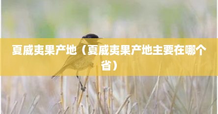 夏威夷果产地（夏威夷果产地主要在哪个省）