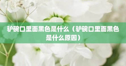 驴碗口里面黑色是什么（驴碗口里面黑色是什么原因）