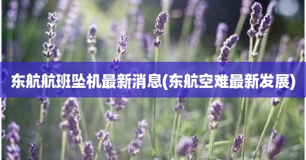 东航航班坠机最新消息(东航空难最新发展)