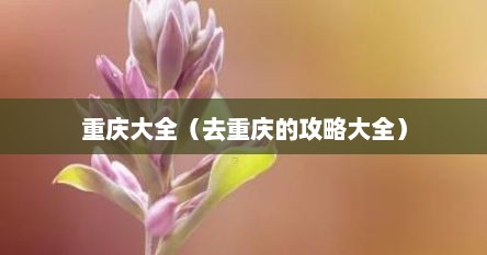 重庆大全（去重庆的攻略大全）