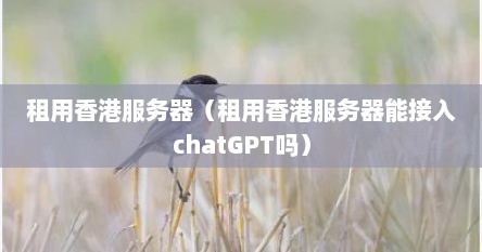 租用香港服务器（租用香港服务器能接入chatGPT吗）