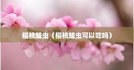 樱桃蛆虫（樱桃蛆虫可以吃吗）