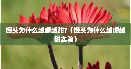 馒头为什么越嚼越甜?（馒头为什么越嚼越甜实验）