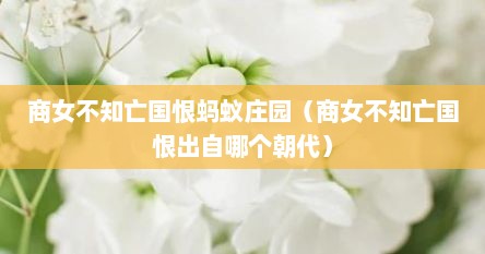 商女不知亡国恨蚂蚁庄园（商女不知亡国恨出自哪个朝代）