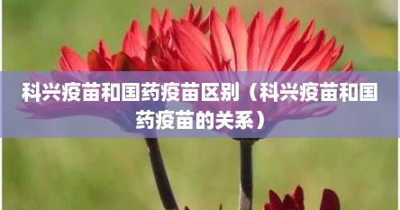 科兴疫苗和国药疫苗区别（科兴疫苗和国药疫苗的关系）