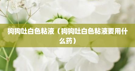 狗狗吐白色粘液（狗狗吐白色粘液要用什么药）