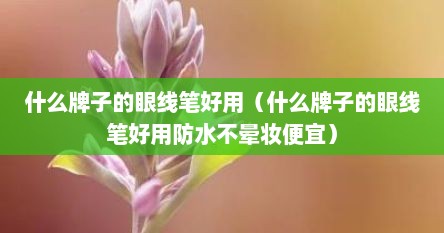 什么牌子的眼线笔好用（什么牌子的眼线笔好用防水不晕妆便宜）