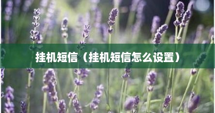 挂机短信（挂机短信怎么设置）