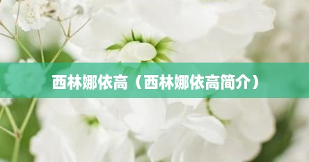 西林娜依高（西林娜依高简介）