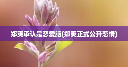 郑爽承认是恋爱脑(郑爽正式公开恋情)