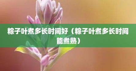 粽子叶煮多长时间好（粽子叶煮多长时间能煮熟）