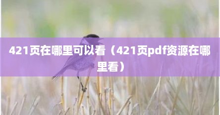 421页在哪里可以看（421页pdf资源在哪里看）