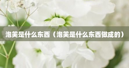 泡芙是什么东西（泡芙是什么东西做成的）