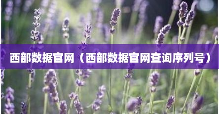 西部数据官网（西部数据官网查询序列号）