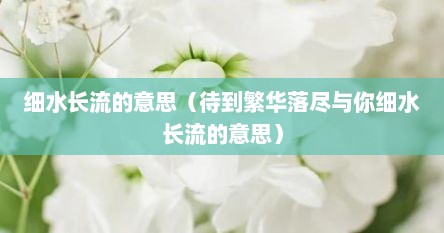 细水长流的意思（待到繁华落尽与你细水长流的意思）