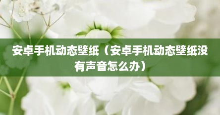 安卓手机动态壁纸（安卓手机动态壁纸没有声音怎么办）