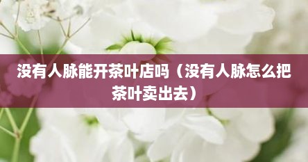 没有人脉能开茶叶店吗（没有人脉怎么把茶叶卖出去）