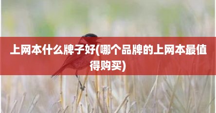 上网本什么牌子好(哪个品牌的上网本最值得购买)