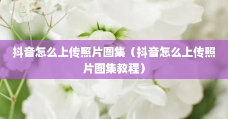 抖音怎么上传照片图集（抖音怎么上传照片图集教程）