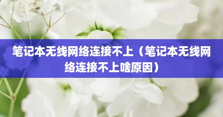 笔记本无线网络连接不上（笔记本无线网络连接不上啥原因）