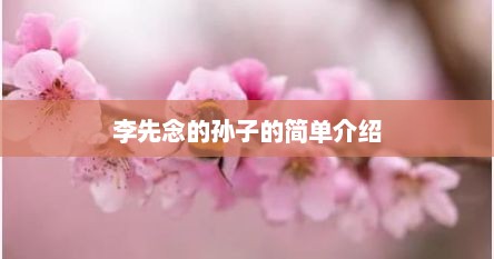 李先念的孙子的简单介绍