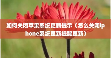 如何关闭苹果系统更新提示（怎么关闭iphone系统更新提醒更新）