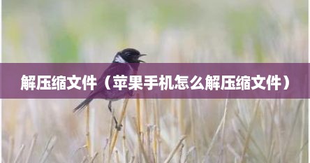 解压缩文件（苹果手机怎么解压缩文件）