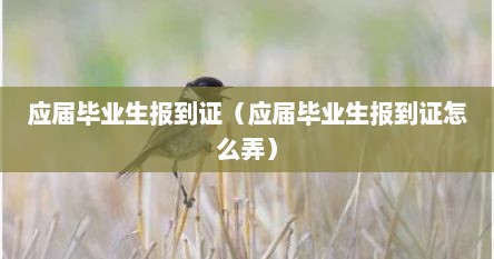 应届毕业生报到证（应届毕业生报到证怎么弄）