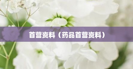 首营资料（药品首营资料）